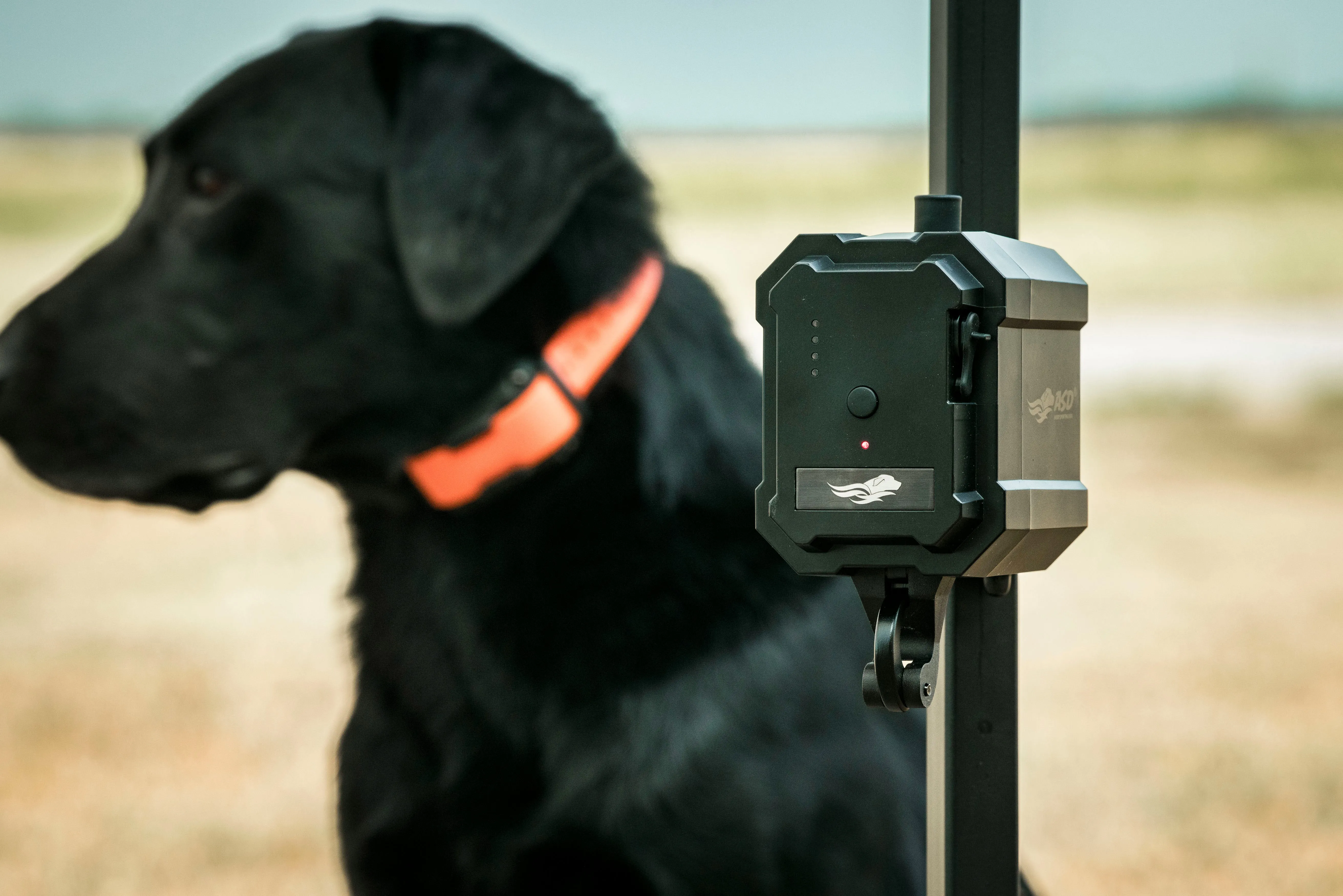 Avery Sporting Dog No Break Safety System