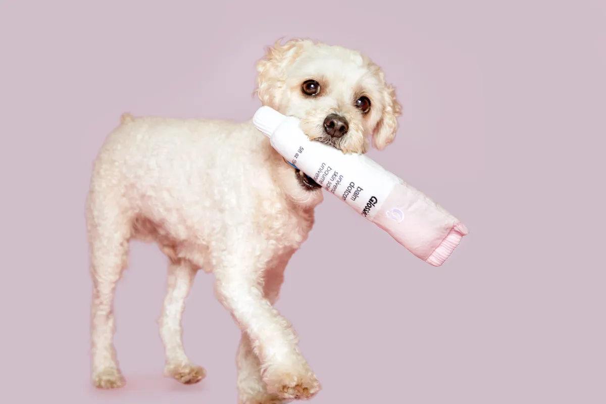 BARK x Glossier Balm Dogcom