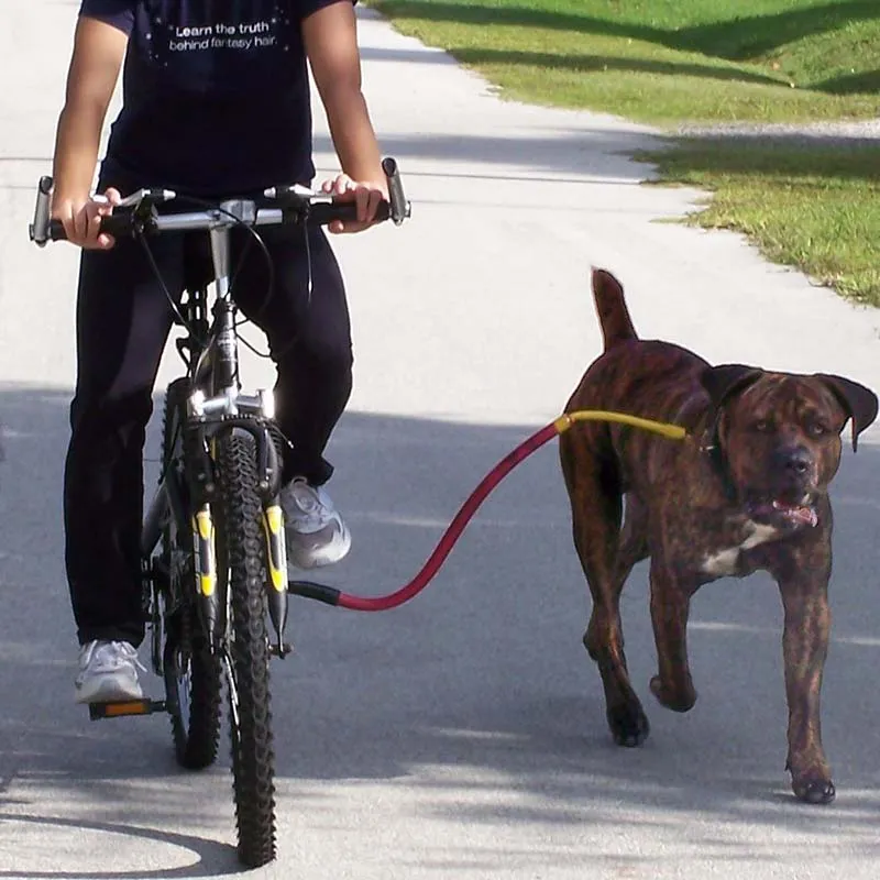 Bike Tow Leash Dog Bicycle Attachment