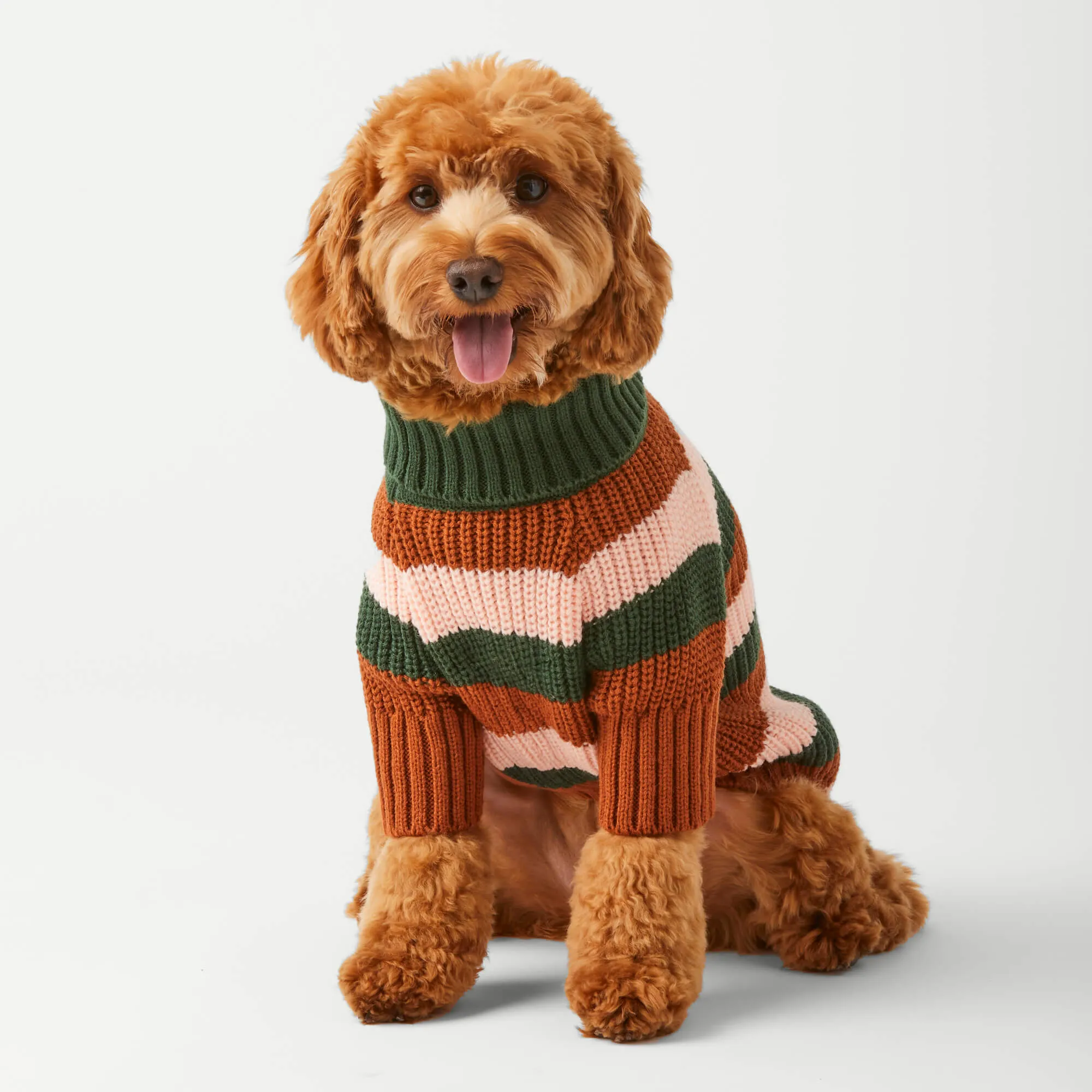 Bold Stripe Dog Sweater