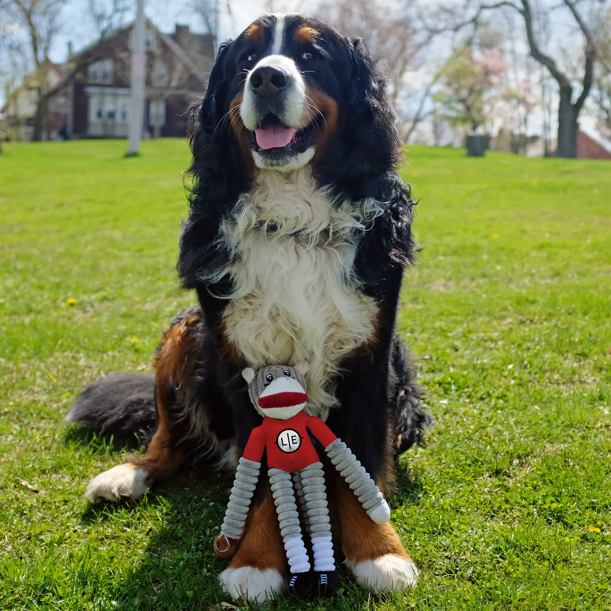 Buffalo Bills Team Sock Monkey Pet Toy