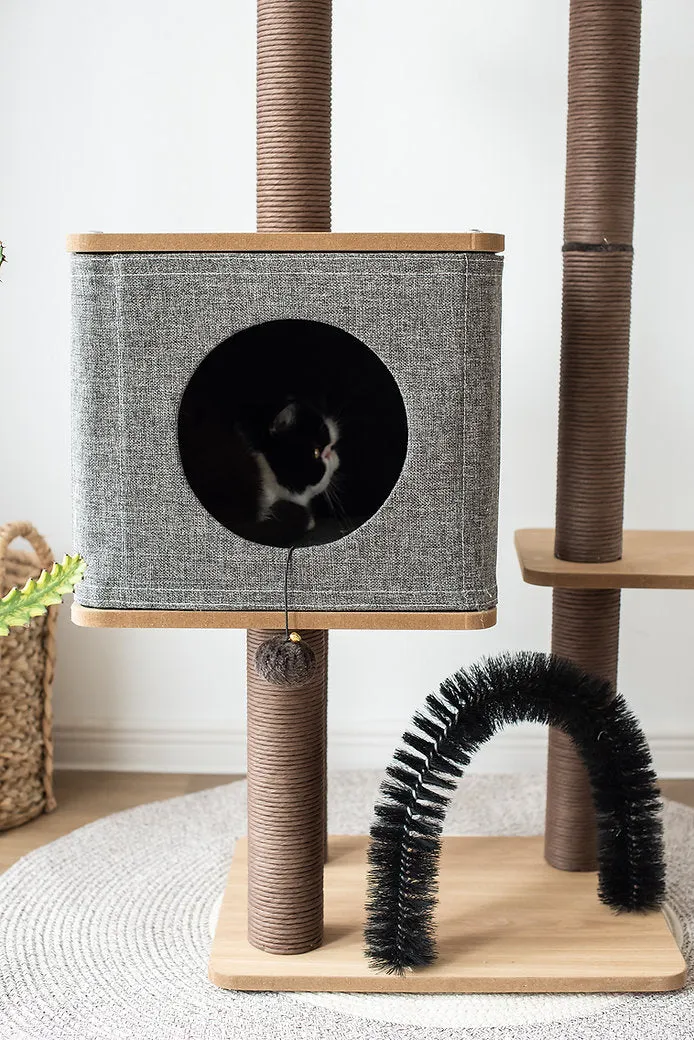 Cat Activity Tree | Elevate