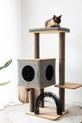 Cat Activity Tree | Elevate