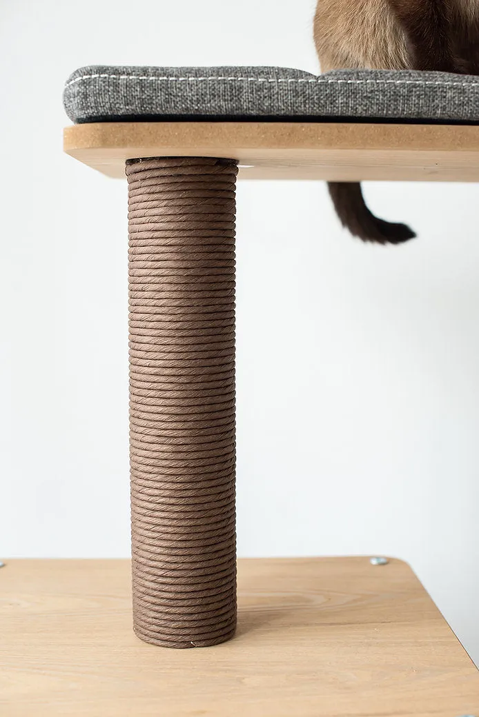 Cat Activity Tree | Elevate