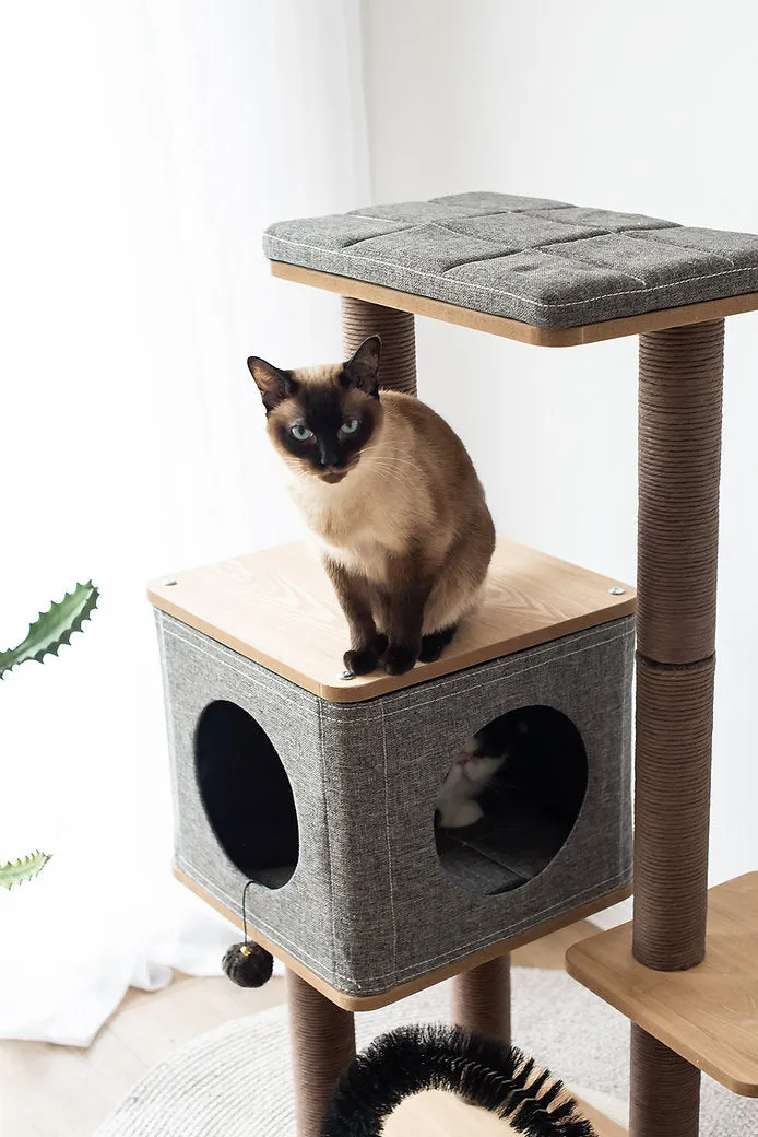 Cat Activity Tree | Elevate