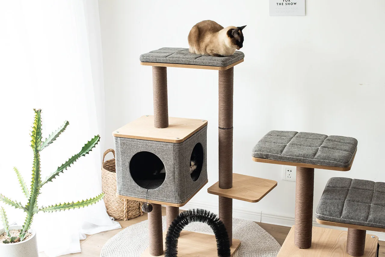 Cat Activity Tree | Elevate