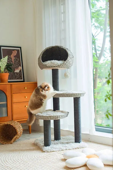 Cat Activity Tree | Tundra