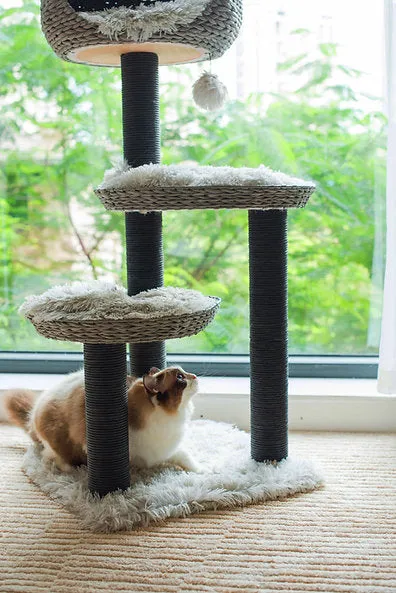 Cat Activity Tree | Tundra