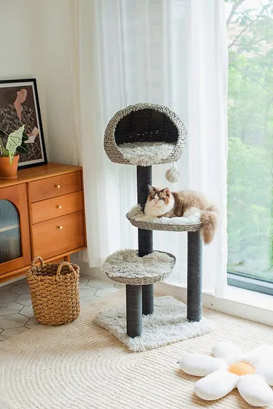 Cat Activity Tree | Tundra