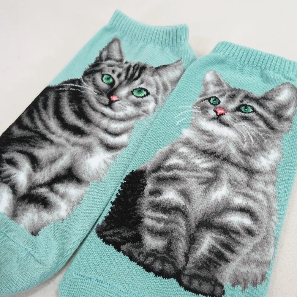 Cat Ankles - American Shorthair