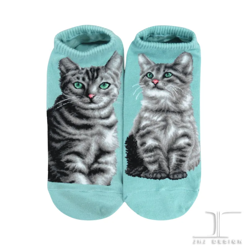 Cat Ankles - American Shorthair