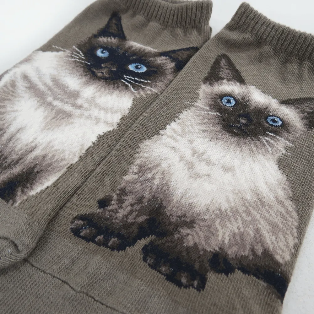 Cat Ankles - Himalayan Taupe