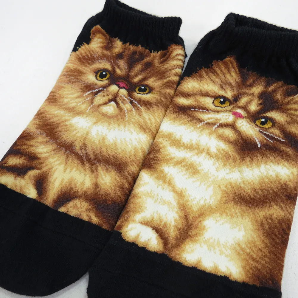 Cat Ankles - Persian Black