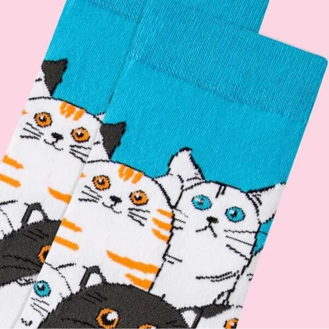 Cat Socks from the Sock Panda (Adult Medium - Women's Shoe Sizes 5-10)