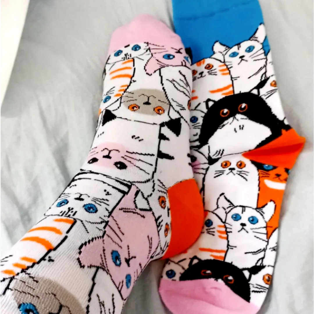 Cat Socks from the Sock Panda (Adult Medium - Women's Shoe Sizes 5-10)