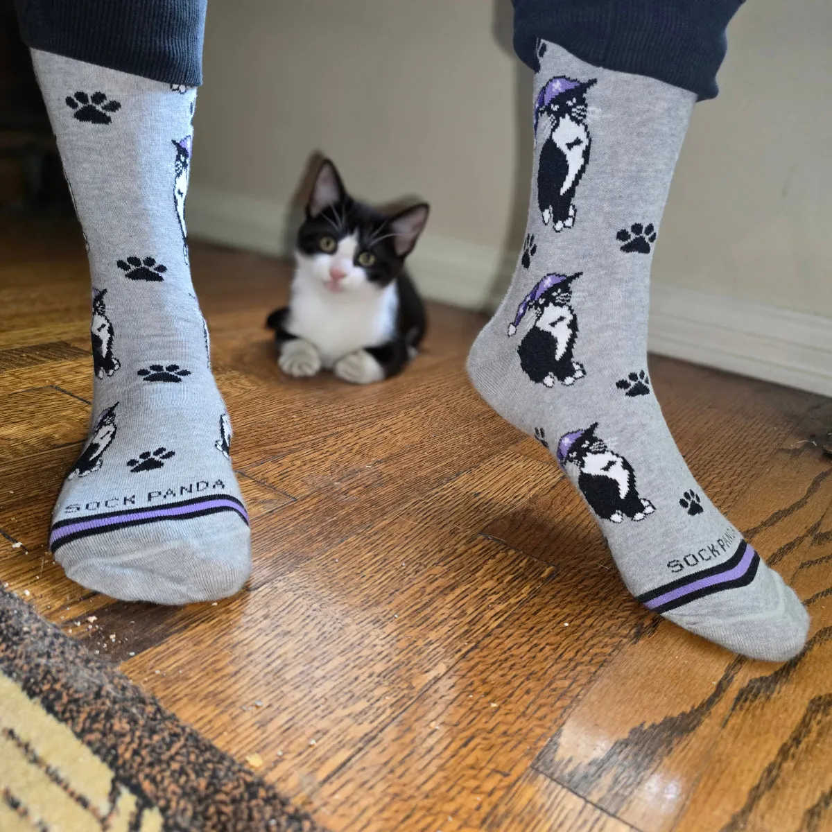 Cat Wearing a Hat Socks from the Sock Panda (Adult Large - Men's Shoe Sizes 8-12)