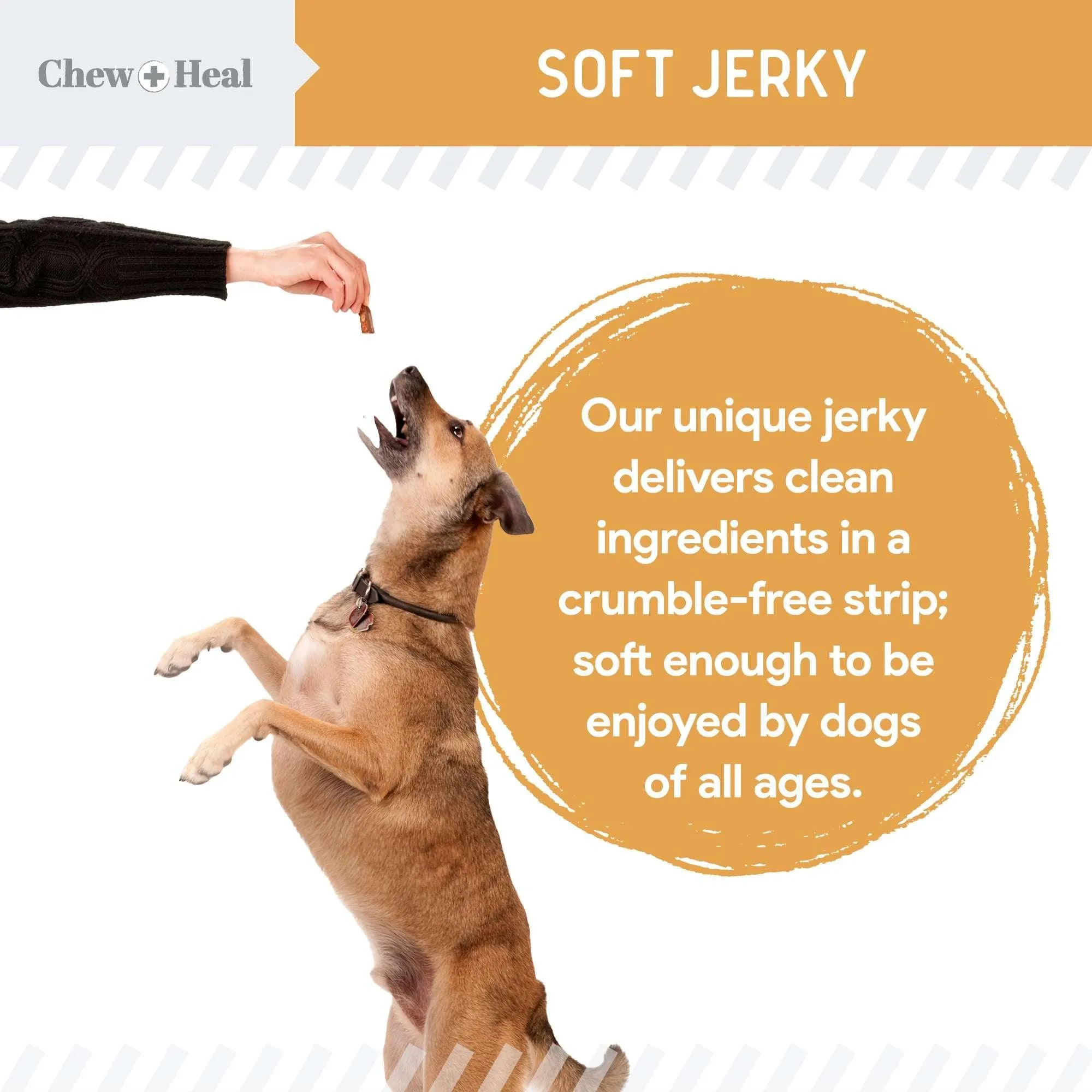 Chew   Heal Omega Salmon Jerky Dog Treats