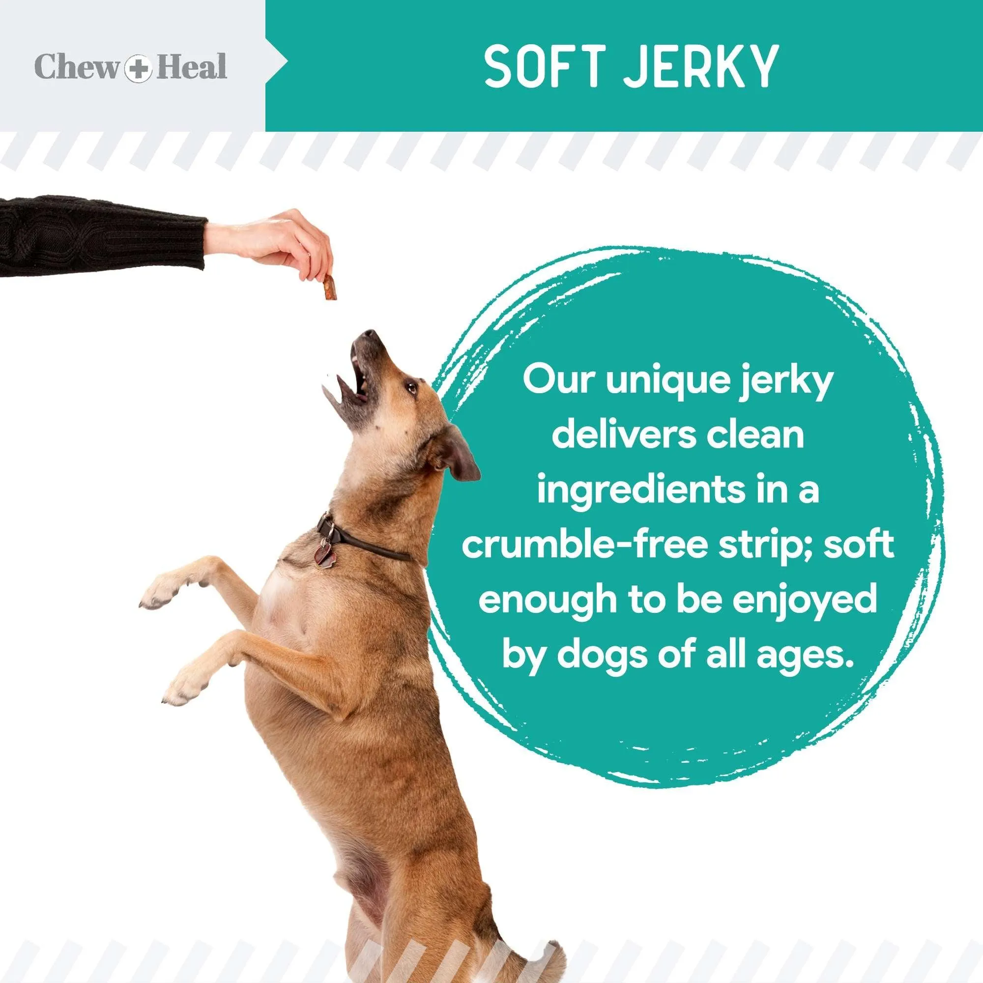 Chew   Heal Probiotic Salmon Jerky  Dog Treats