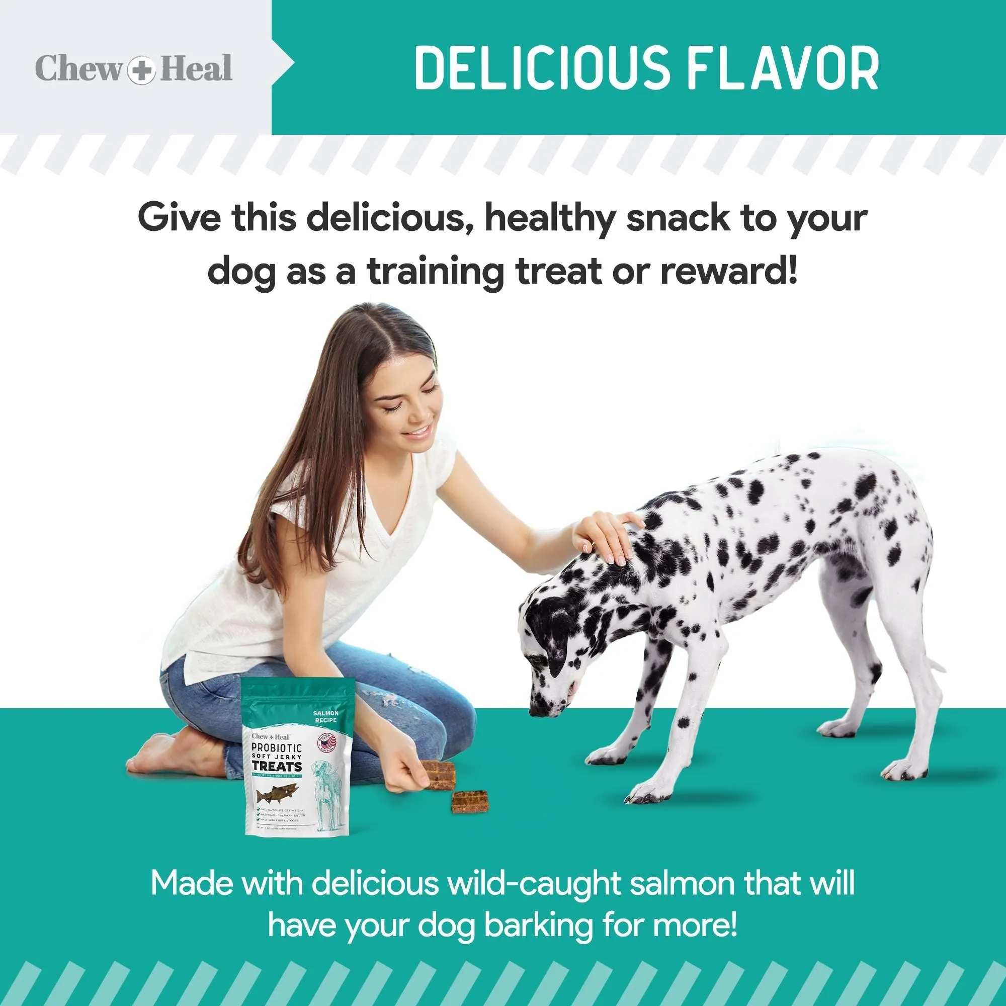 Chew   Heal Probiotic Salmon Jerky  Dog Treats