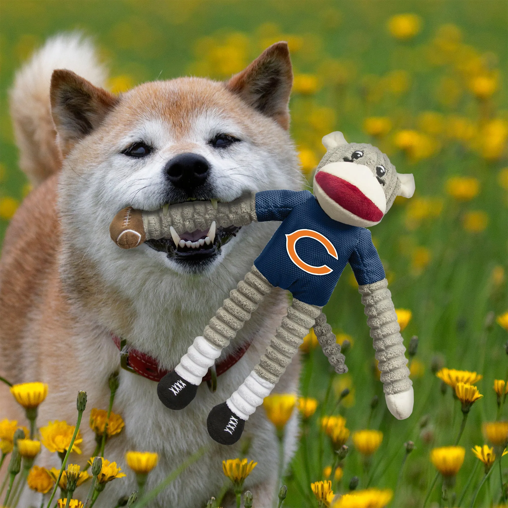 Chicago Bears Team Sock Monkey Pet Toy