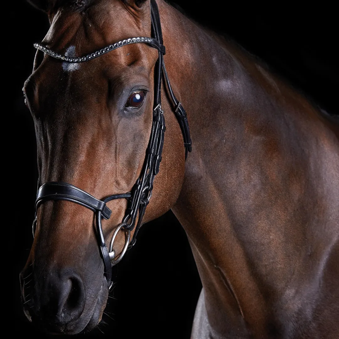 Collegiate ComFiTec Crystal Bridle