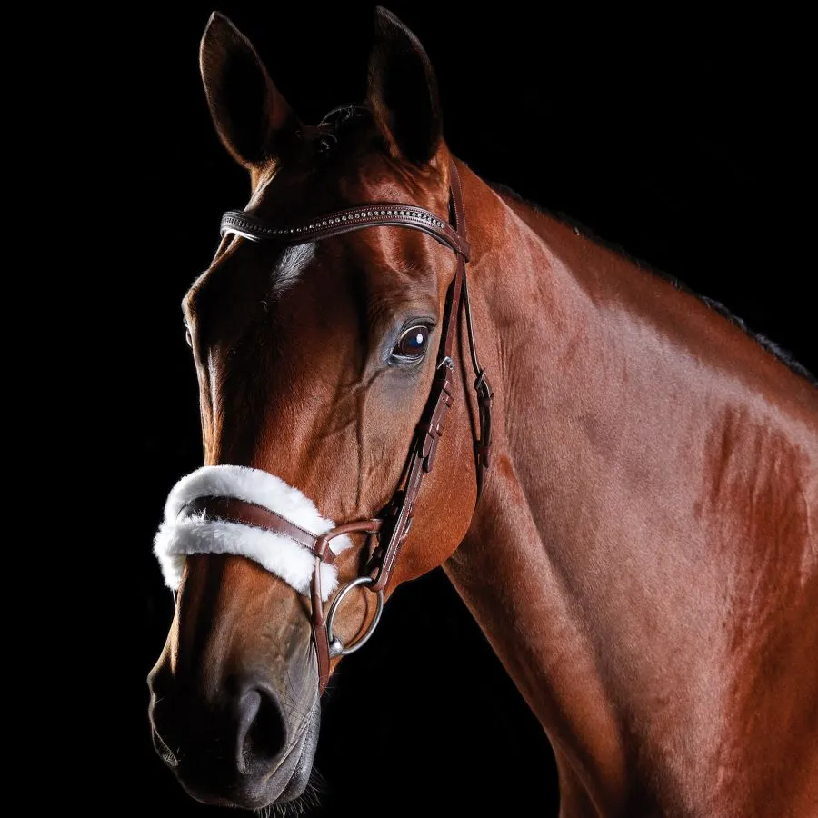 Collegiate ComFiTec Sheepskin Bridle