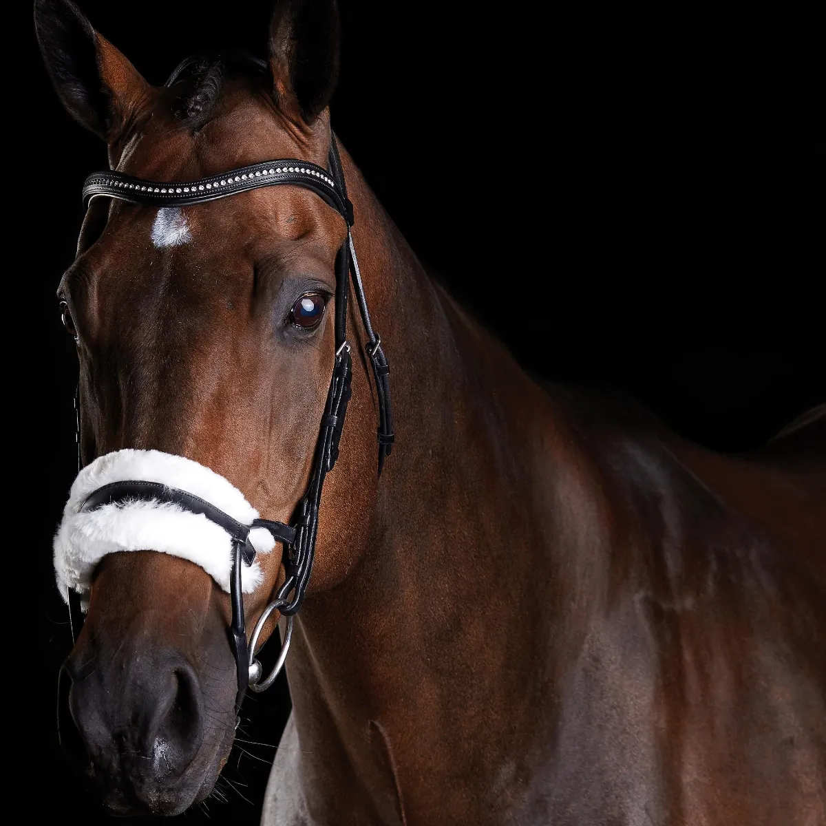 Collegiate ComFiTec Sheepskin Bridle