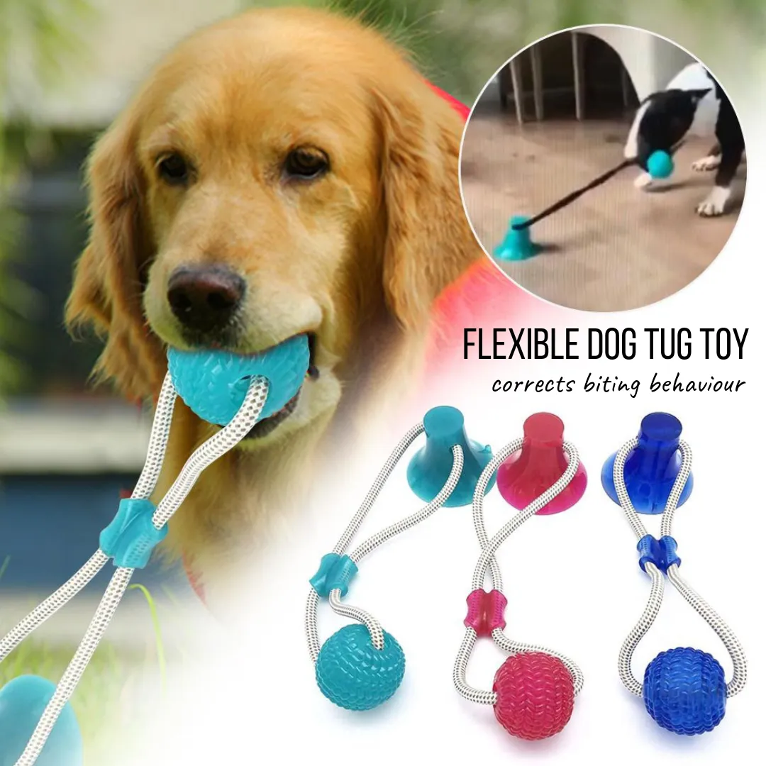 dog toy