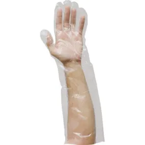 Elbow Length Poly Gloves | Case of 2,000