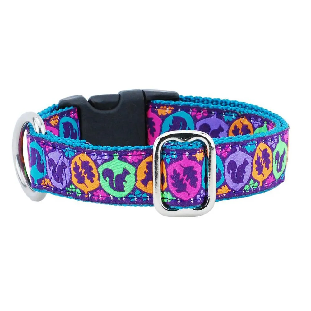 Essential Dog Collar by 2Hounds Design. Unique & Fun Ribbon Patterns!