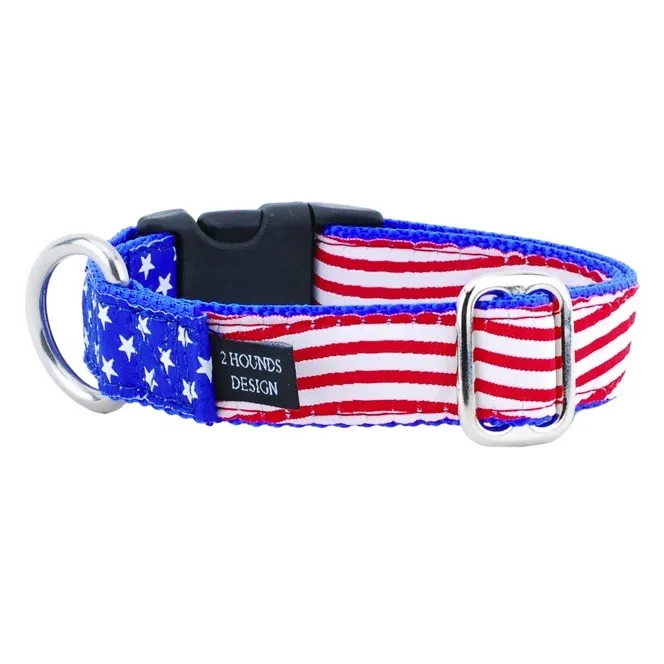 Essential Dog Collar by 2Hounds Design. Unique & Fun Ribbon Patterns!