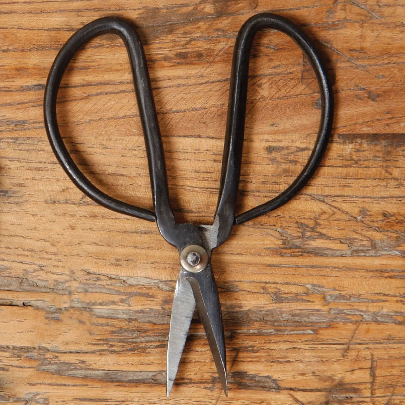 Forged Iron Utility Shears