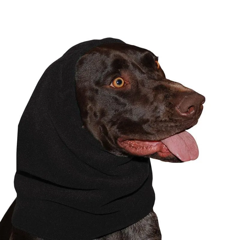 German Shorthaired Pointer Hood