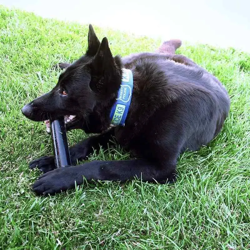 Goughnuts Guaranteed Indestructible Dog Toys