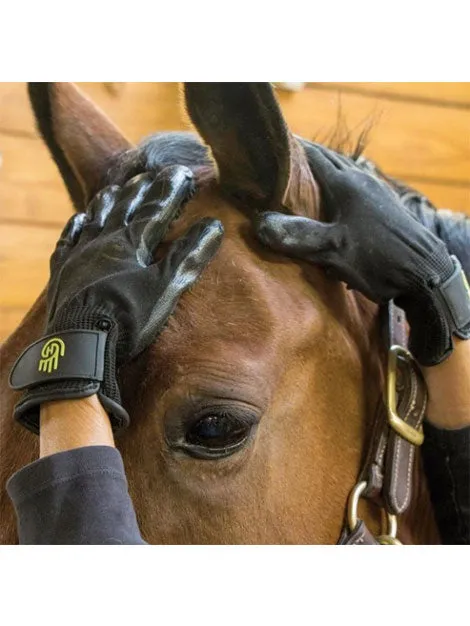 Hands On Grooming Glove