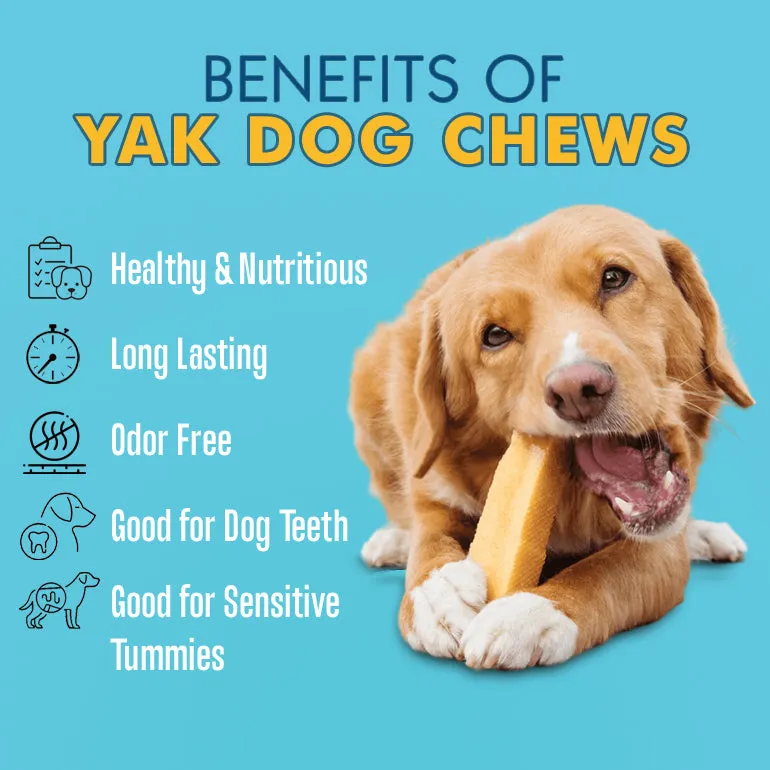 Himalayan Dog Chews - Chew Treat Made of Yak Milk