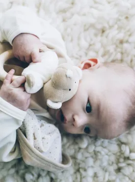 Rattle Teddy with Teething Ring