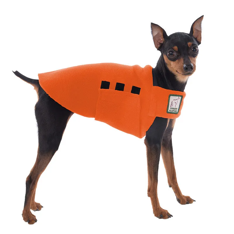 ReCoat ♻️ Miniature Pinscher Tummy Warmer