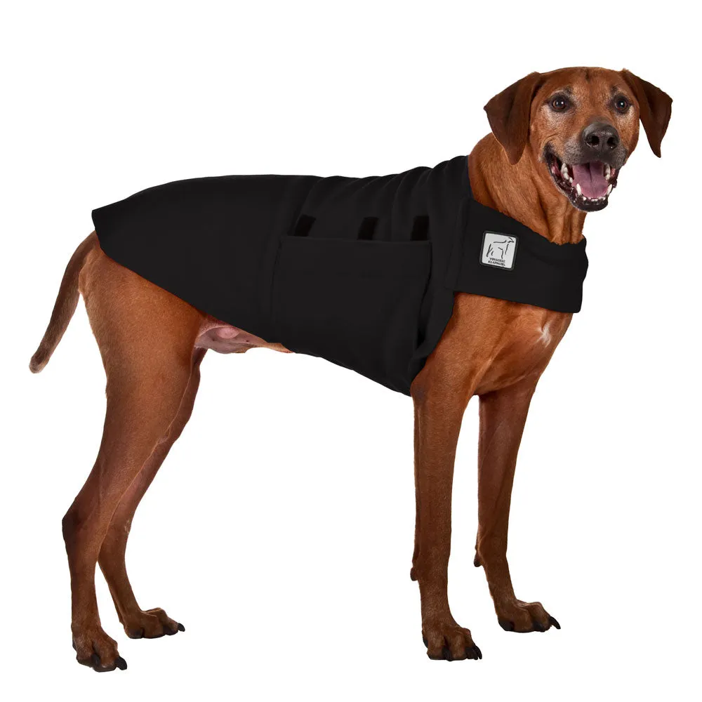 Rhodesian Ridgeback Tummy Warmer