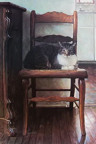 Steve Hanks - Gato